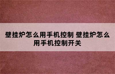 壁挂炉怎么用手机控制 壁挂炉怎么用手机控制开关